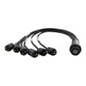 Photo of LEX EGBI100-3-515 EverGrip Female LSC19 to Male Edison Break-In Cable - 3 Foot