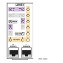 Cobalt RM20-AUD2-DANTE-A-HDBNC 20-Slot Frame Rear I/O Module Dante Embedder - 2x 12G/6G/3G/HD/SD/SD-SDI Inputs