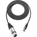 Photo of Sescom Audio Cable Canare L-2B2AT 3-Pin XLR Female to 3-Pin Mini XLR Female - 10 Foot