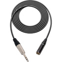 Photo of Sescom SC25T3SZ Audio Cable Canare L-2B2AT 3-Pin Mini XLR Male to 1/4 TRS Balanced Male - 25 Foot