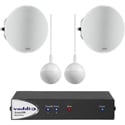 Vaddio 999-86600-000 EasyUSB Audio Conferencing Bundle - Includes Two Microphones/Two Speakers/Mixer